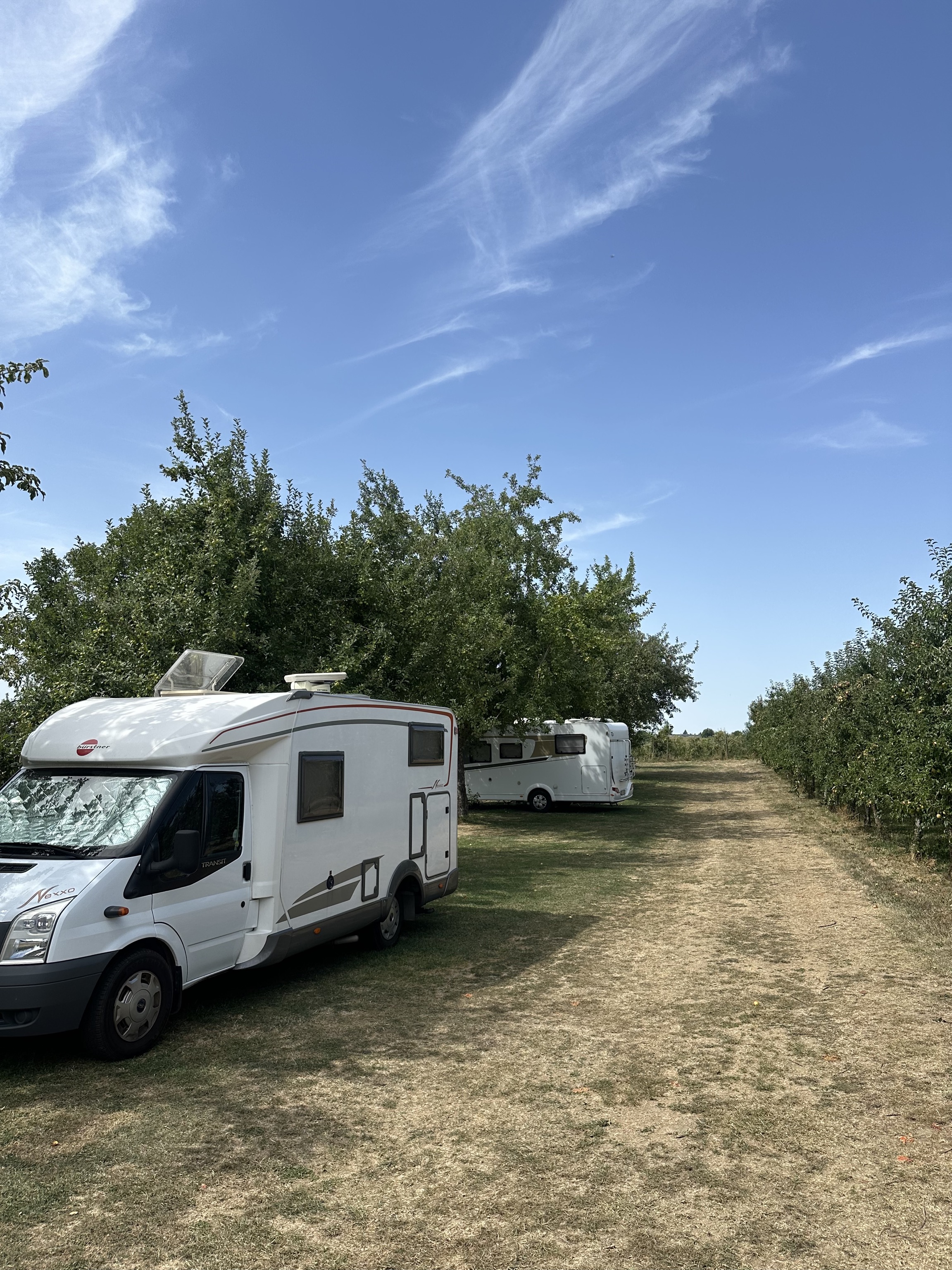 Reisemobilstellplatz: Stellplatz - Landhotel / Stellplatz / Bio Obstbau SCHELLENBERG