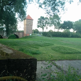 Wohnmobilstellplatz: Sicht zur Einfahrt, die Mittelstücke stehen im Moment noch als Bienenweide, solange der Weißklee blüht, ansonsten ist der gesamte Bereich immer gemäht - Brücker Mühle