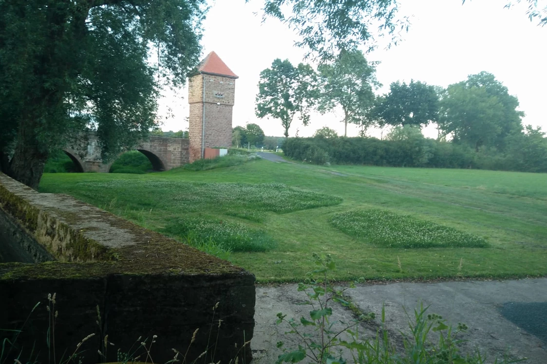 Wohnmobilstellplatz: Sicht zur Einfahrt, die Mittelstücke stehen im Moment noch als Bienenweide, solange der Weißklee blüht, ansonsten ist der gesamte Bereich immer gemäht - Brücker Mühle