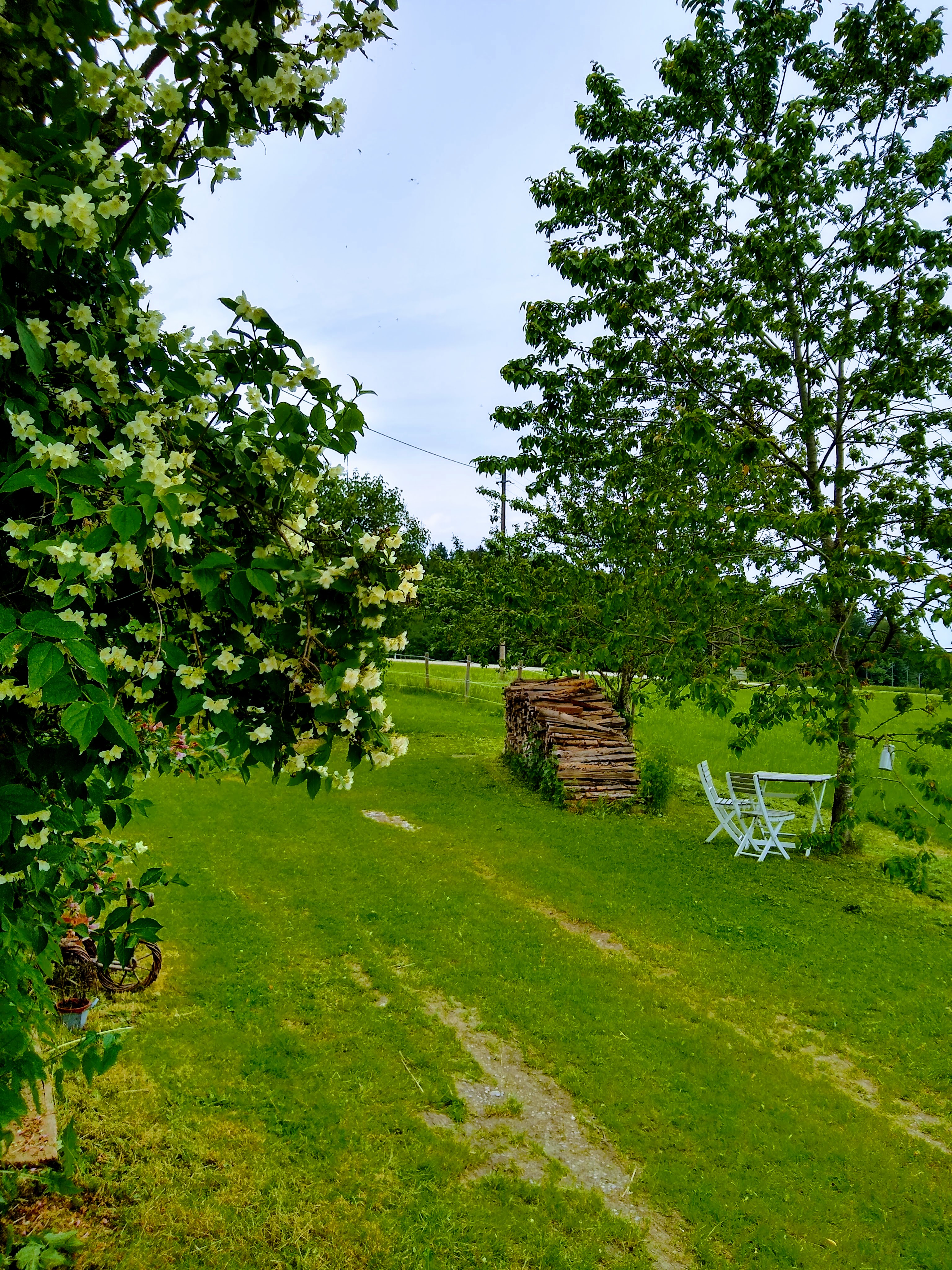 Area sosta per camper - Ottobeuren - Privatstellplatz Saulengrain
