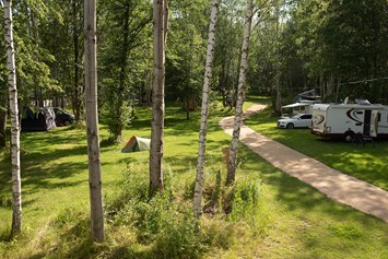 Wohnmobilstellplatz: Campingwiese im Wäldchen - Camping am Kühlhaus