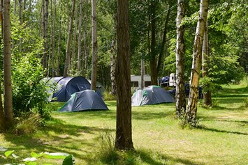 Wohnmobilstellplatz: Zeltwiese - Camping am Kühlhaus