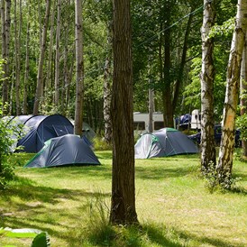 Wohnmobilstellplatz: Zeltwiese - Camping am Kühlhaus