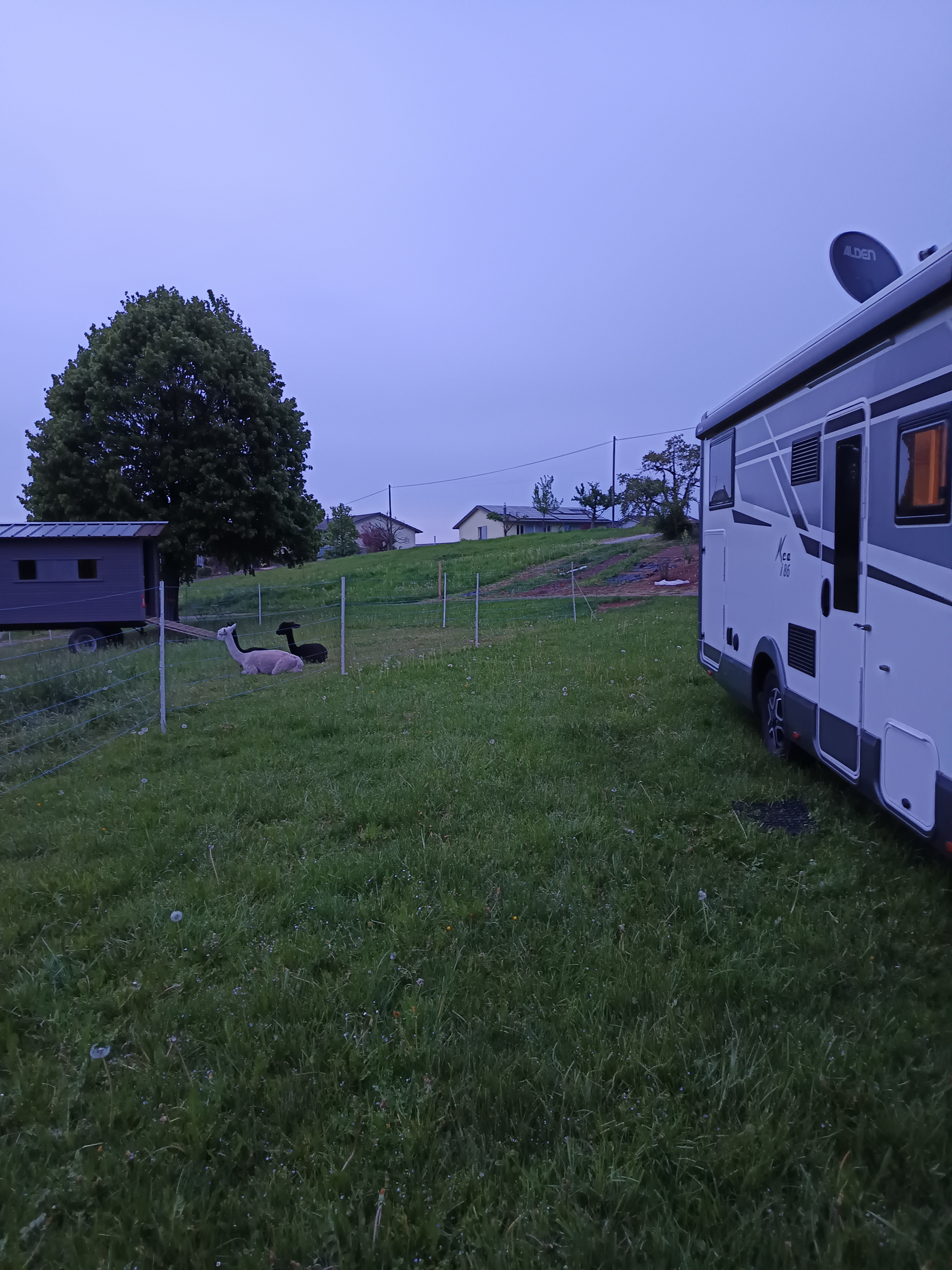 Place de parking pour camping-car - Weggis - Stellplatz neben den Alpakas  - Weinbau Haselrain