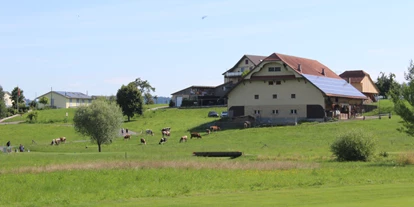 Reisemobilstellplatz - Golf - Neudorf (Beromünster) - Weinbau Haselrain - Weinbau Haselrain