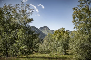 Wohnmobilstellplatz: Das Ausflugsgebiet Wolzenalp, eine Moorlandschaft von nationaler Bedeutung mit Barfussweg, liegt in unmittelbarer Nähe. - Stellplatz Parkplatz Wolzenalp