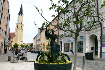 Wohnmobilstellplatz: Stadtplatz in Vilshofen - Camper Stellplatz "VORMFELD"