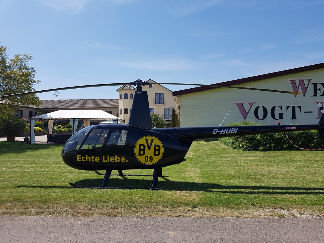 Wohnmobilstellplatz: Weingut Vogt-Fehlinger Biebelsheim 