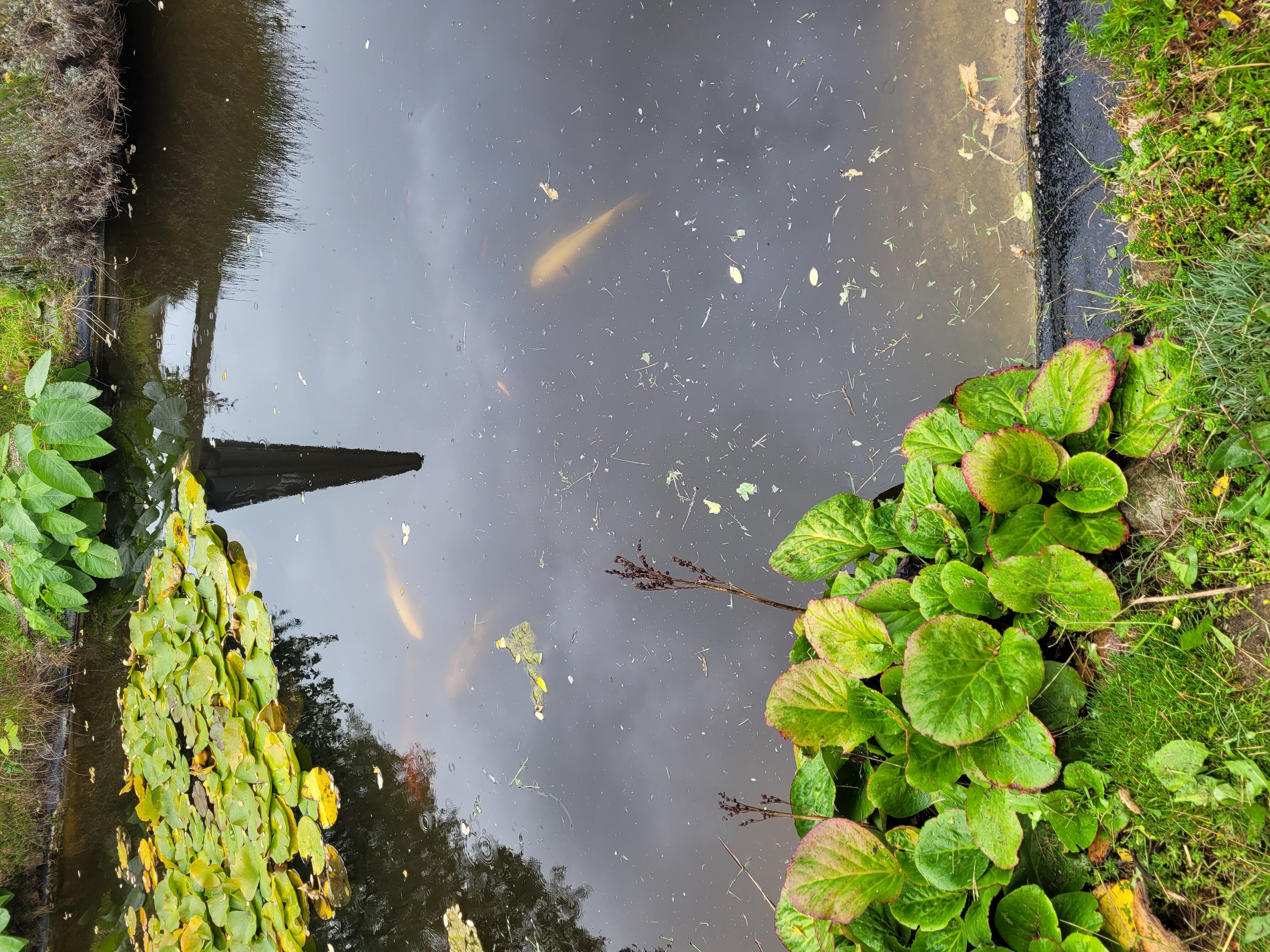 Reisemobilstellplatz - Reiten - Brandenburg - Freizeitanlage Bärenklau, LeCaPo  ,