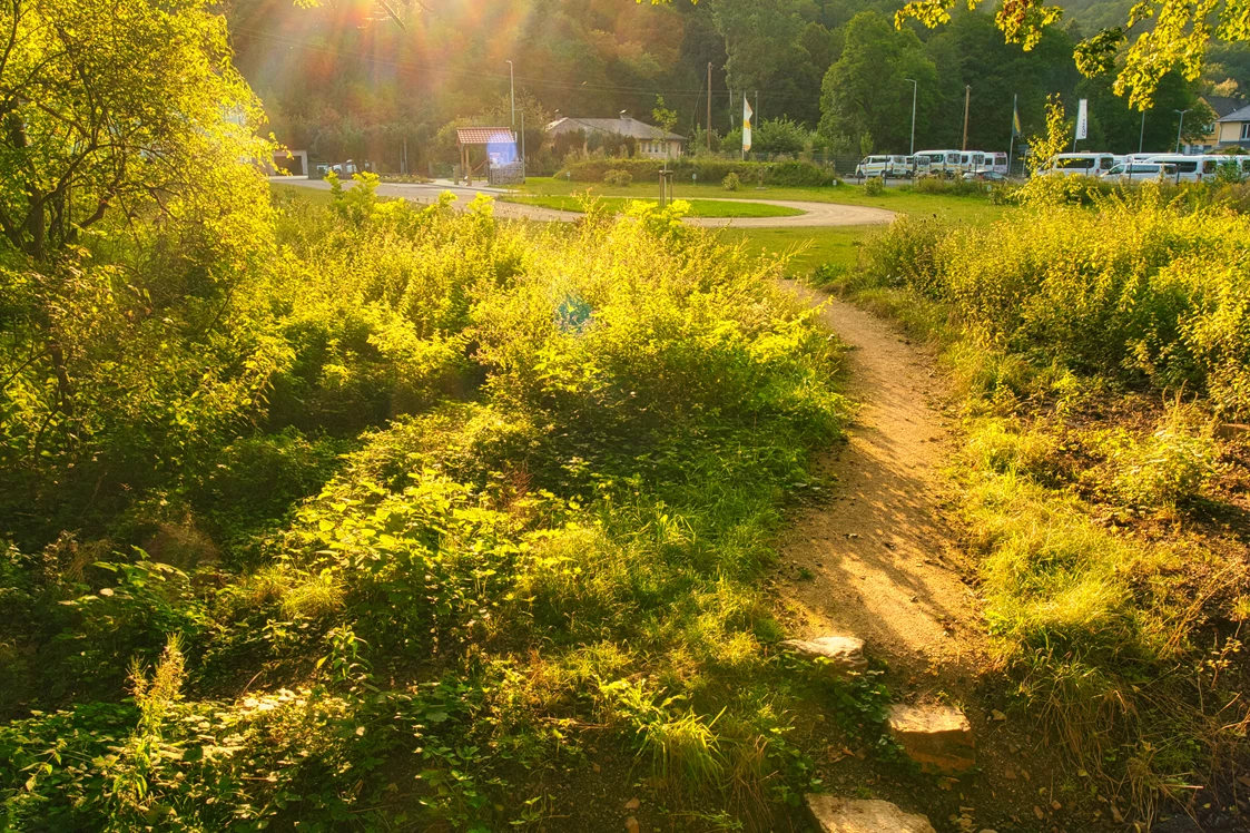 Wohnmobilstellplatz: Idyllisch gelegen - Wohnmobilstellplatz "An der Weiherschleife"