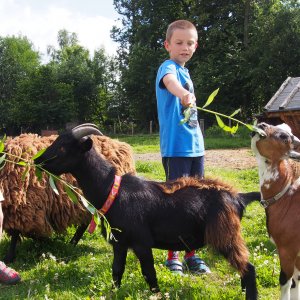 Reisemobilstellplatz - Hunde erlaubt: Hunde erlaubt - Tschechien - Mikrofarma Holetín