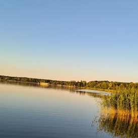 Wohnmobilstellplatz: Stellplatz in Seenähe 