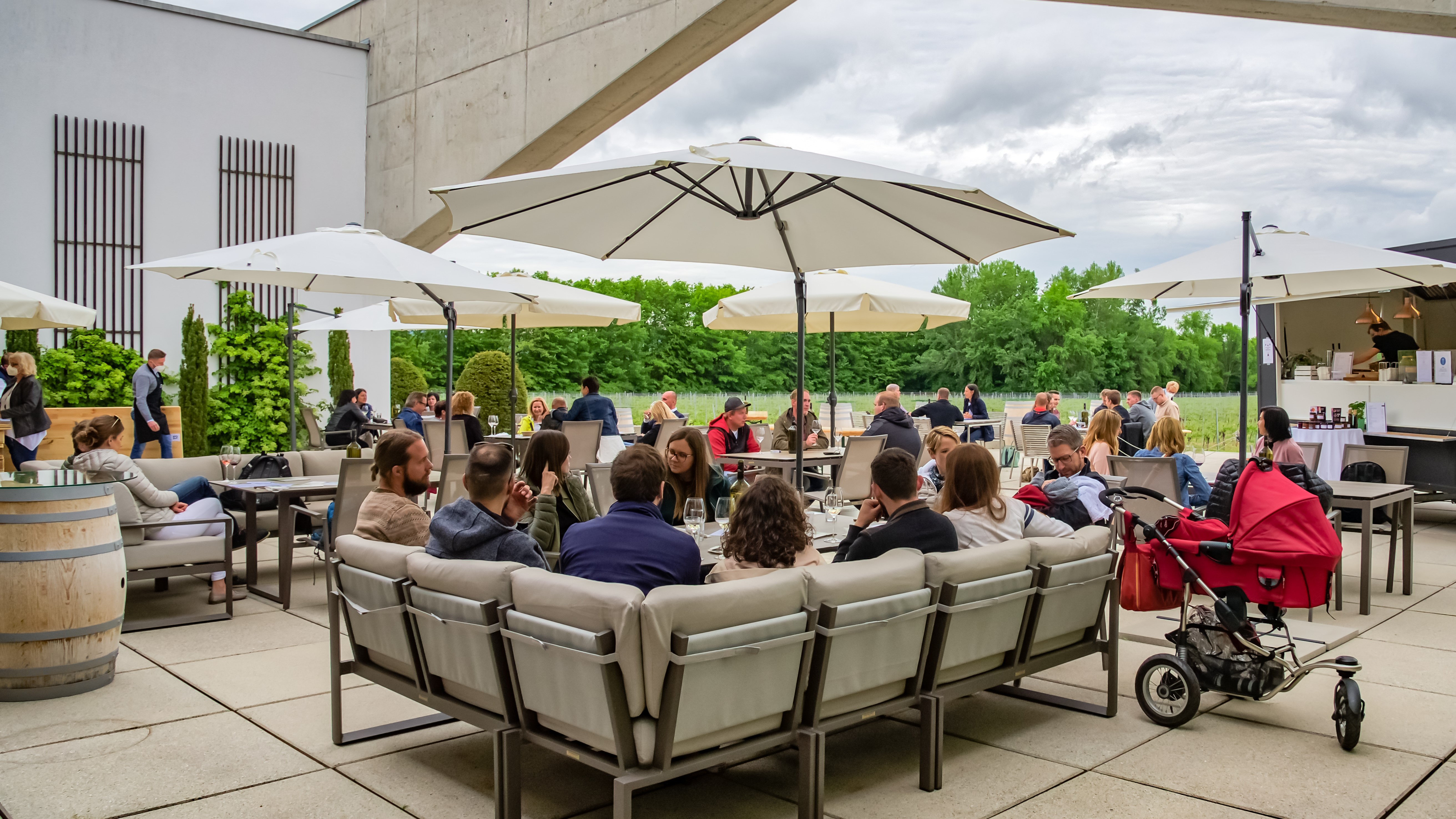 Wohnmobilstellplatz: Eichenwald Weine - Horitschon