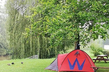 Wohnmobilstellplatz: Campingplatz Thayapark
