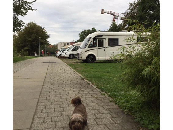 Reisemobilstellplatz