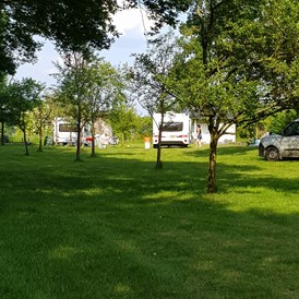 Wohnmobilstellplatz: Stellplatz zwischen Obstbäumen - IQBAL Wohnmobilstell- & Campingplatz mit Flair
