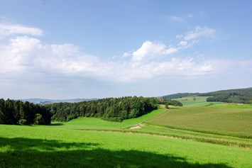 Wohnmobilstellplatz: Natur Pur im Melbecketal. - Naturcampingstellplätze auf dem Ferienhof Verse im Sauerland.