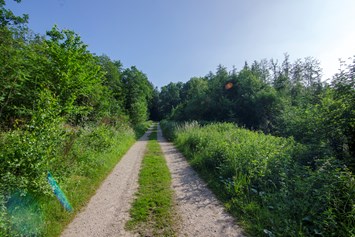 Wohnmobilstellplatz: Herrliche Wander und Fahrradwege - Naturcampingstellplätze auf dem Ferienhof Verse im Sauerland.