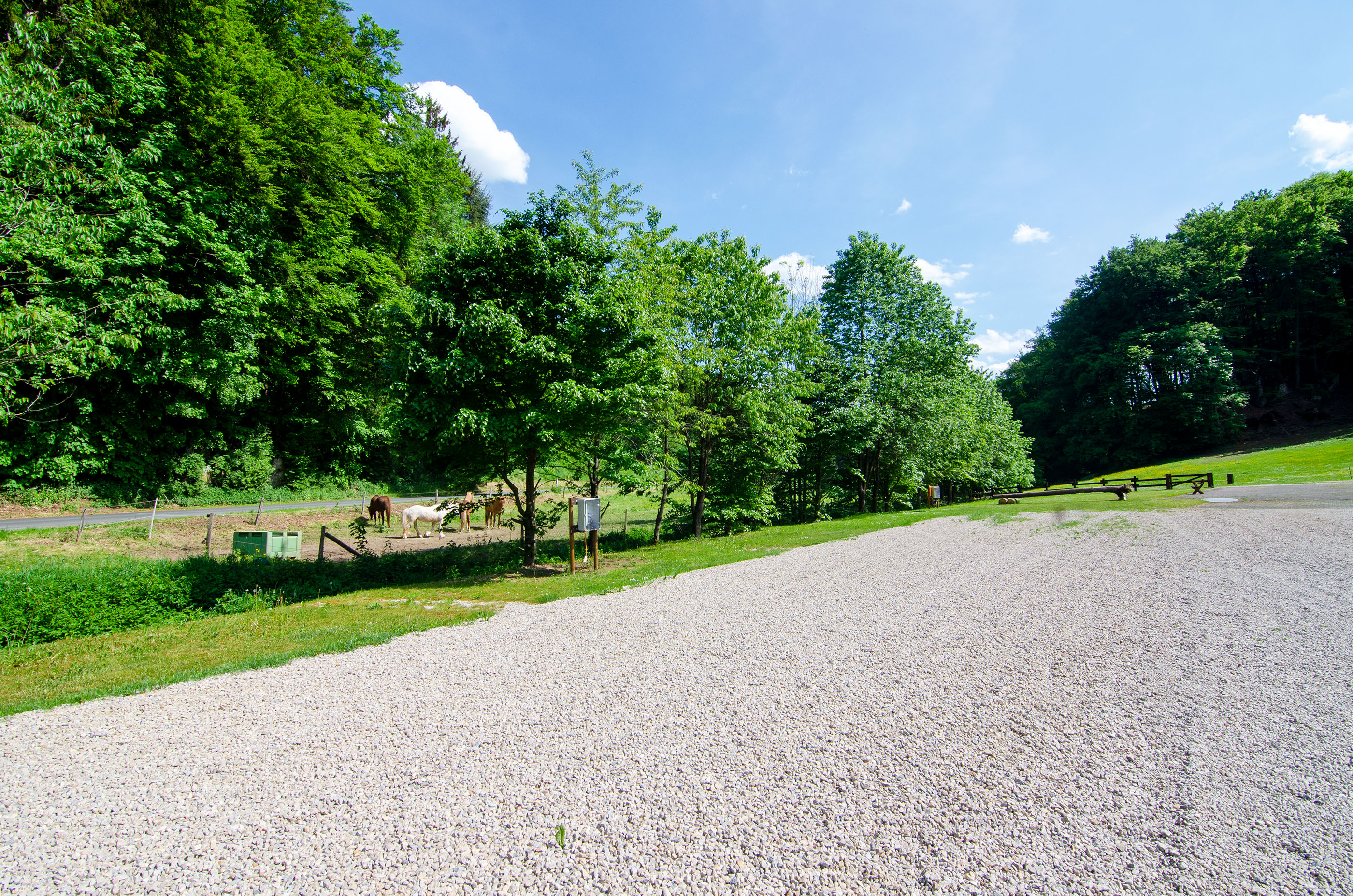 Wohnmobilstellplatz: Stellplätze Am Melbeckebach - Wohnmobilstellplätze auf dem Ferienhof Verse im Sauerland.