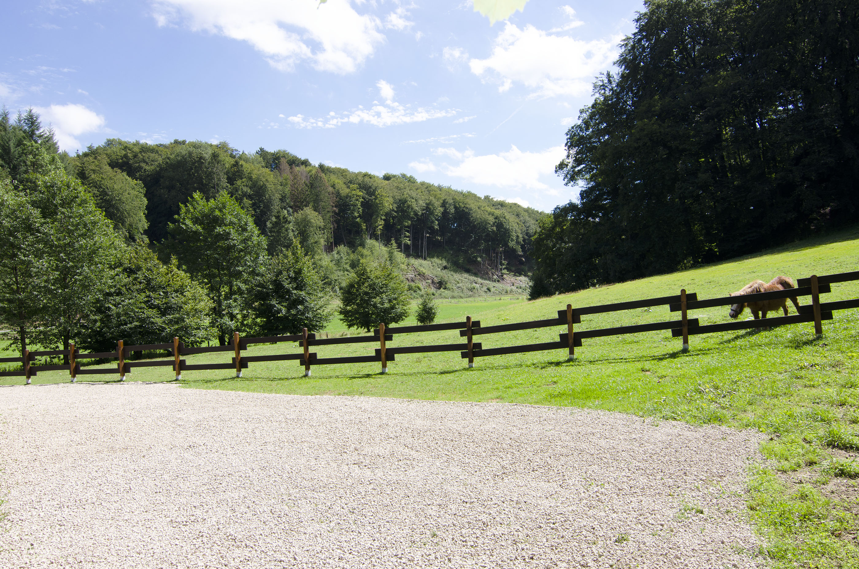 Wohnmobilstellplatz: Stellplatz " Am Waldrand ". - Wohnmobilstellplätze auf dem Ferienhof Verse im Sauerland.