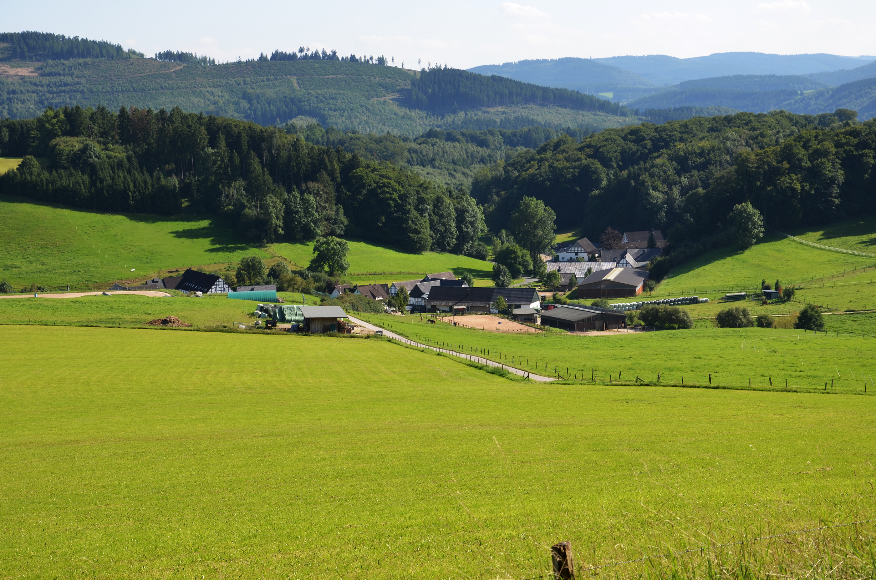 Wohnmobilstellplatz: Natur Pur im Melbecketal. - Wohnmobilstellplätze auf dem Ferienhof Verse im Sauerland.