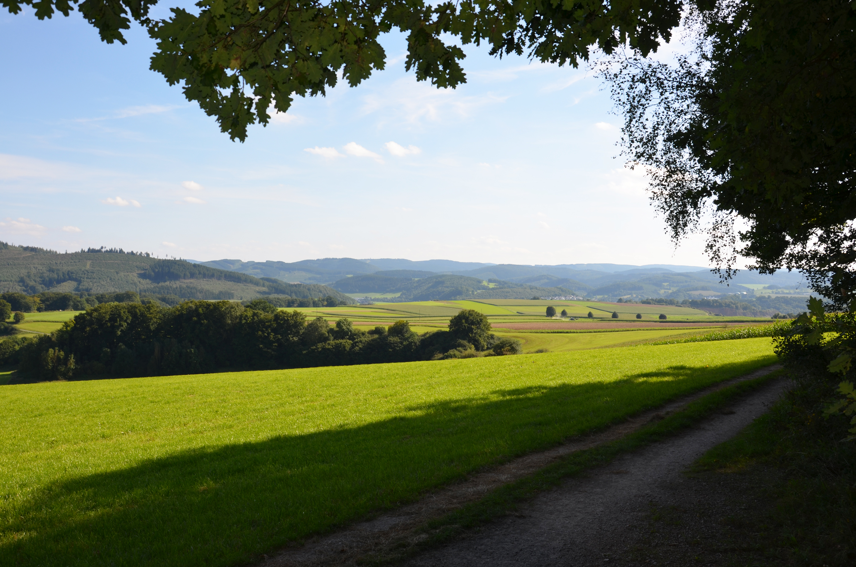 Wohnmobilstellplatz: Natur Pur im Melbecketal. - Wohnmobilstellplätze auf dem Ferienhof Verse im Sauerland.