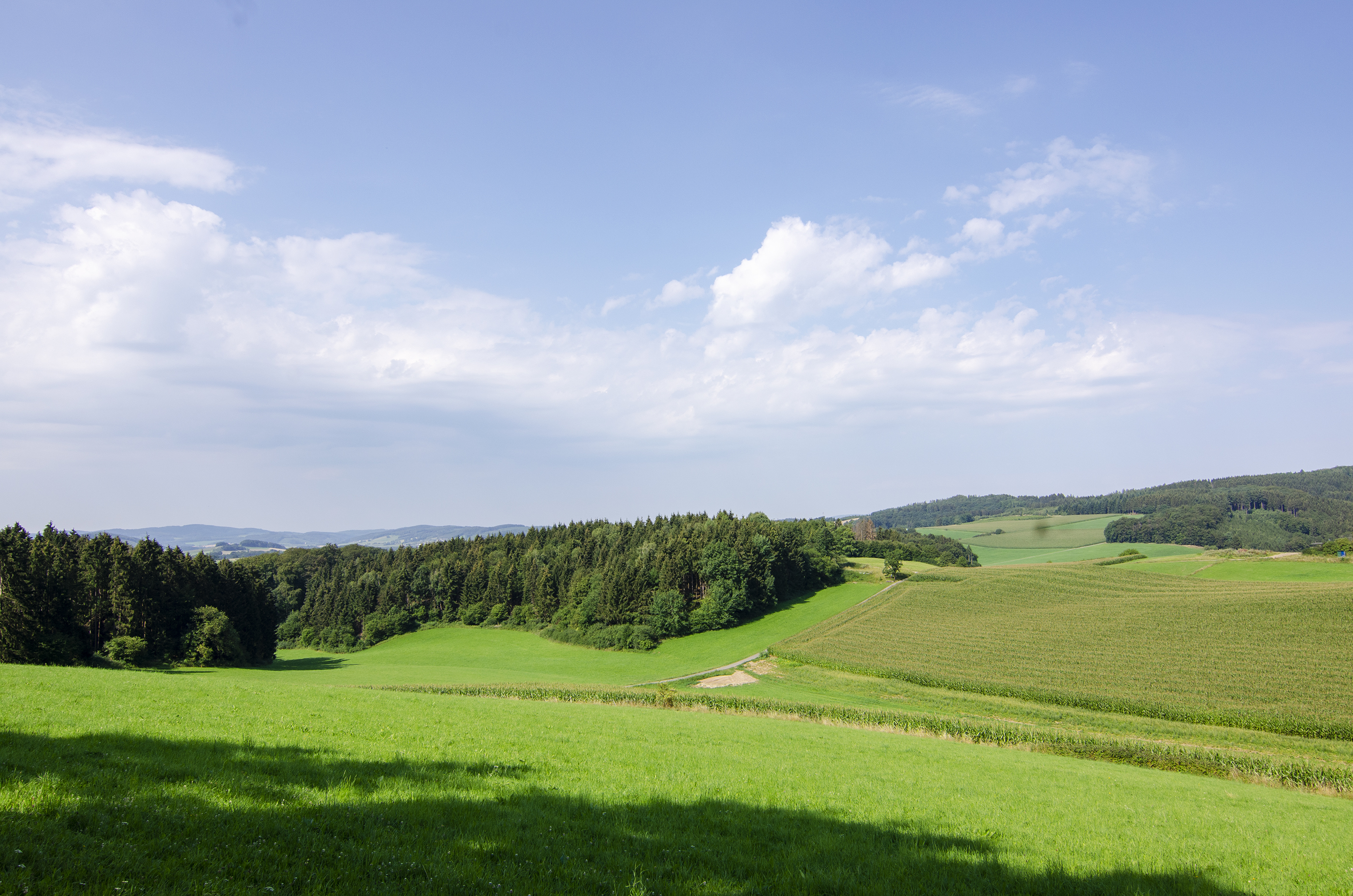 Wohnmobilstellplatz: Natur Pur im Melbecketal. - Wohnmobilstellplätze auf dem Ferienhof Verse im Sauerland.