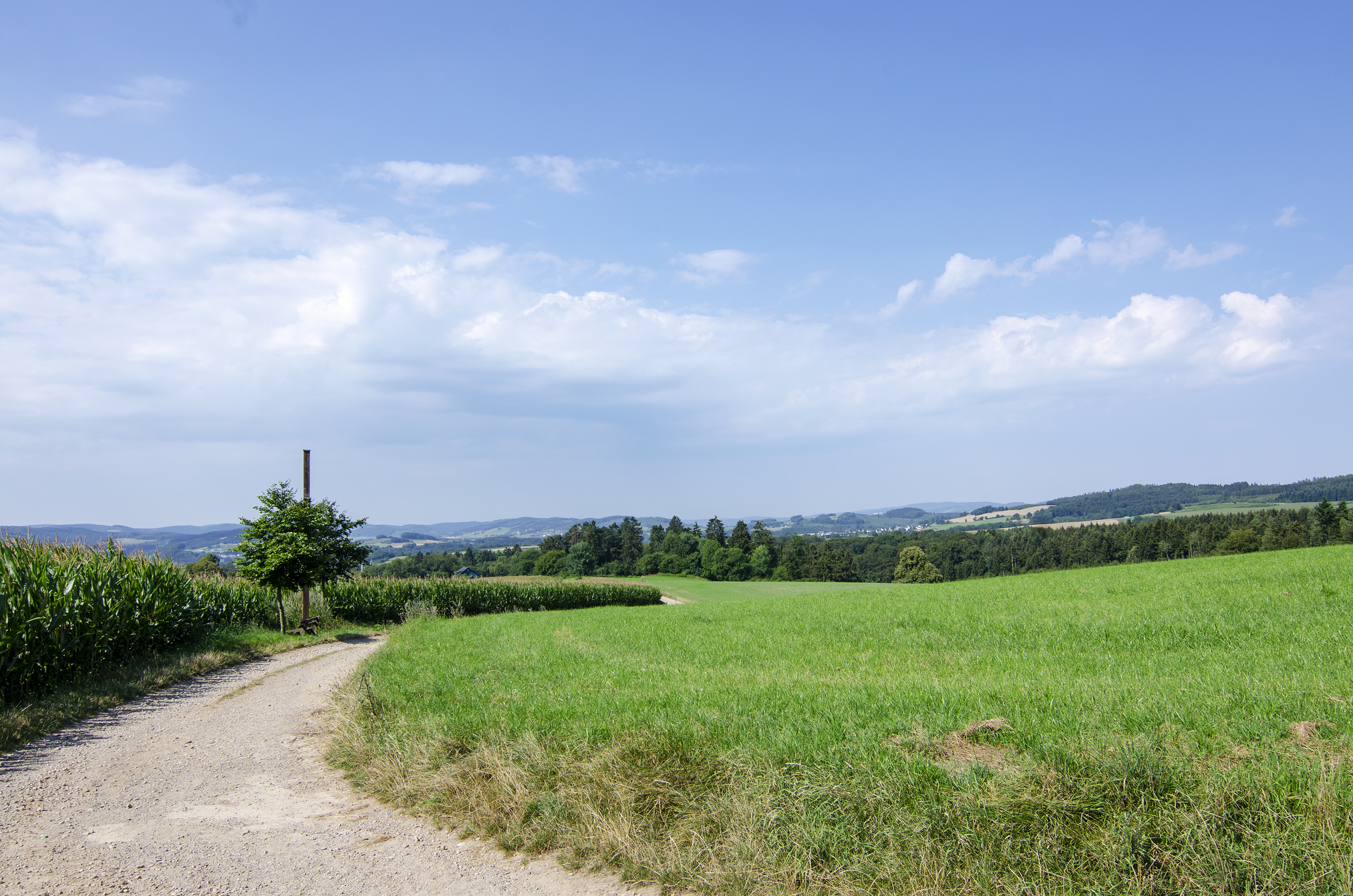 Wohnmobilstellplatz: Natur Pur im Melbecketal. - Wohnmobilstellplätze auf dem Ferienhof Verse im Sauerland.