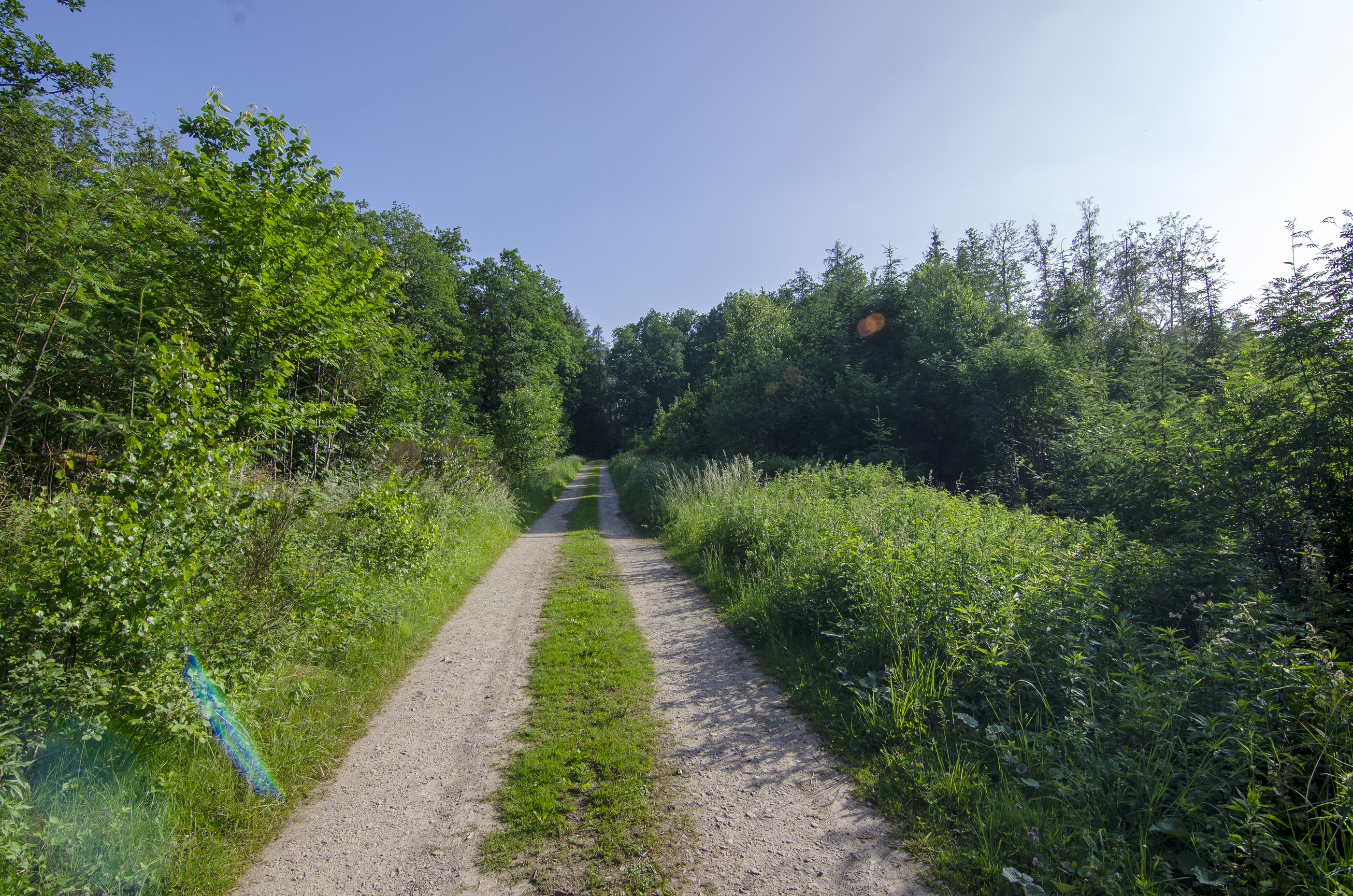 Wohnmobilstellplatz: Herrliche Wander und Fahrradwege - Wohnmobilstellplätze auf dem Ferienhof Verse im Sauerland.