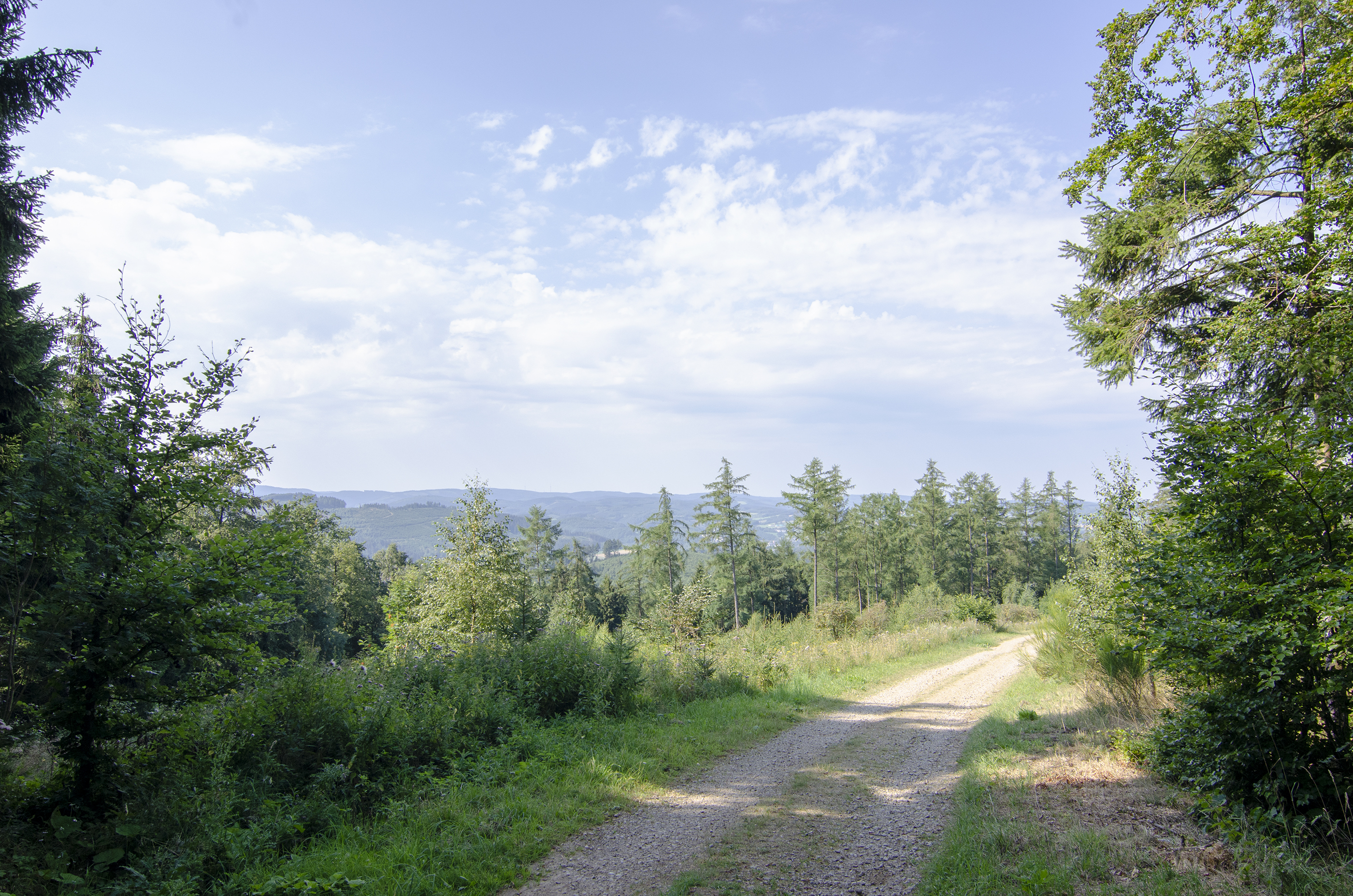 Wohnmobilstellplatz: Herrliche Wander und Fahrradwege - Wohnmobilstellplätze auf dem Ferienhof Verse im Sauerland.