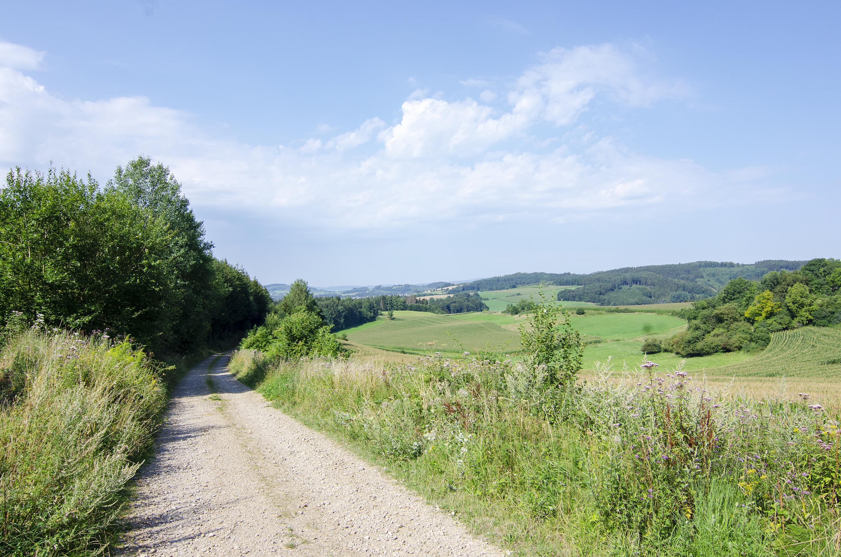 Wohnmobilstellplatz: Herrliche Wander und Fahrradwege - Wohnmobilstellplätze auf dem Ferienhof Verse im Sauerland.