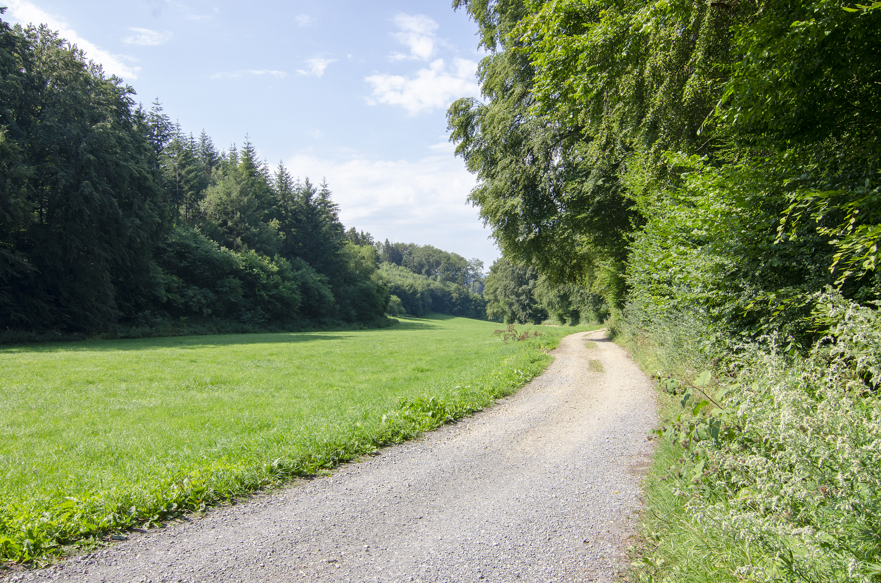 Wohnmobilstellplatz: Herrliche Wander und Fahrradwege - Wohnmobilstellplätze auf dem Ferienhof Verse im Sauerland.
