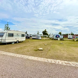 Wohnmobilstellplatz: Standardparzelle für WoMo oder WoWa - Campingpark Erfurt