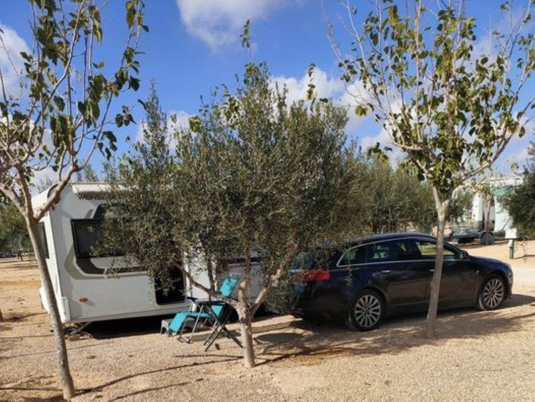 Wohnmobilstellplatz: Parcela XL - Los Olivos Camper Park