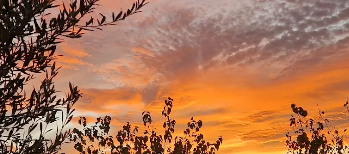 Wohnmobilstellplatz: Vistas y alrededores. - Los Olivos Camper Park