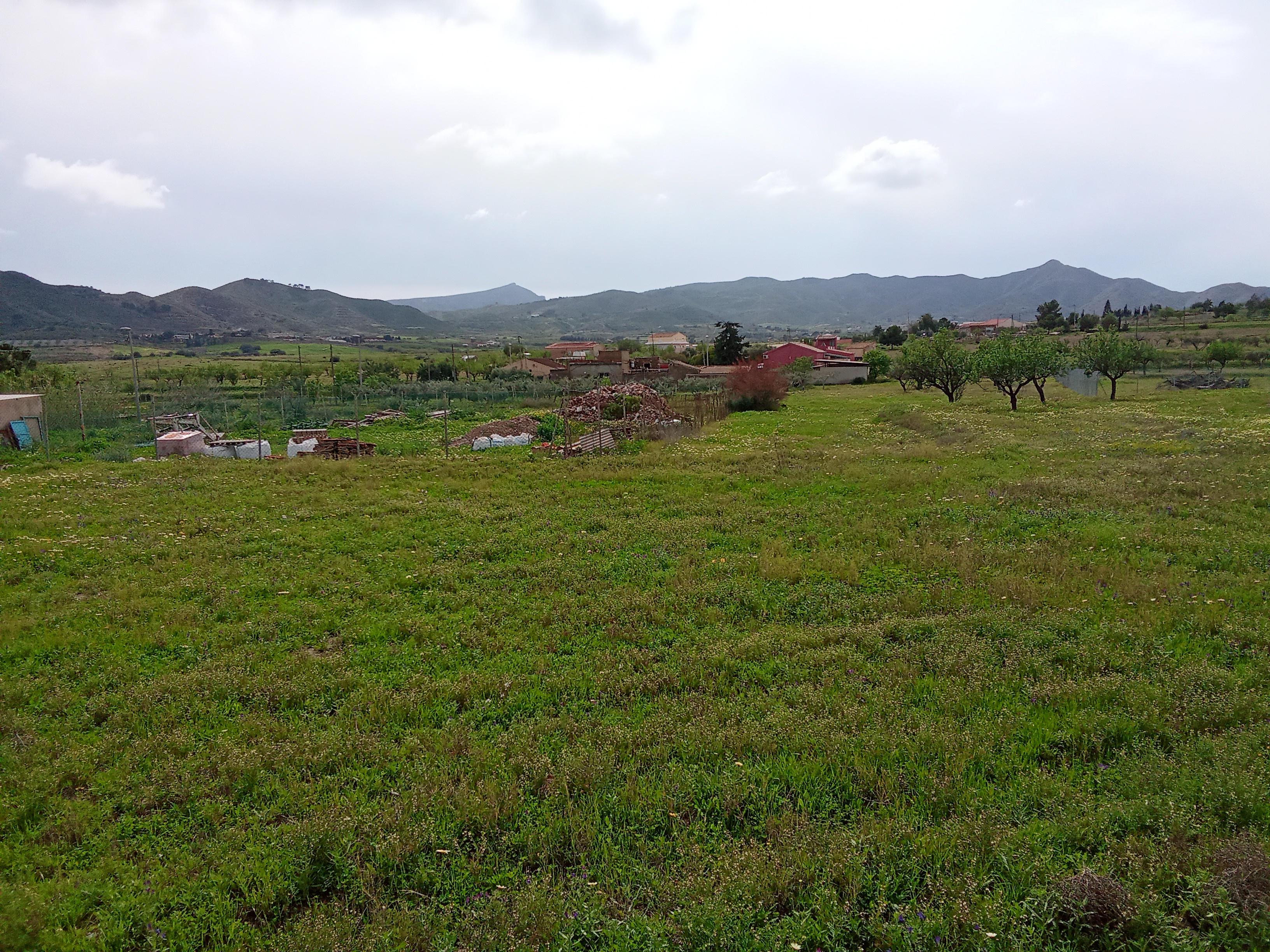 Wohnmobilstellplatz: Vistas y alrededores. - Los Olivos Camper Park