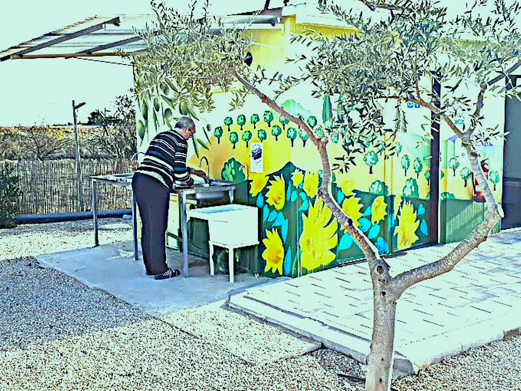 Wohnmobilstellplatz: Fregadero Amarillo - Los Olivos Camper Park