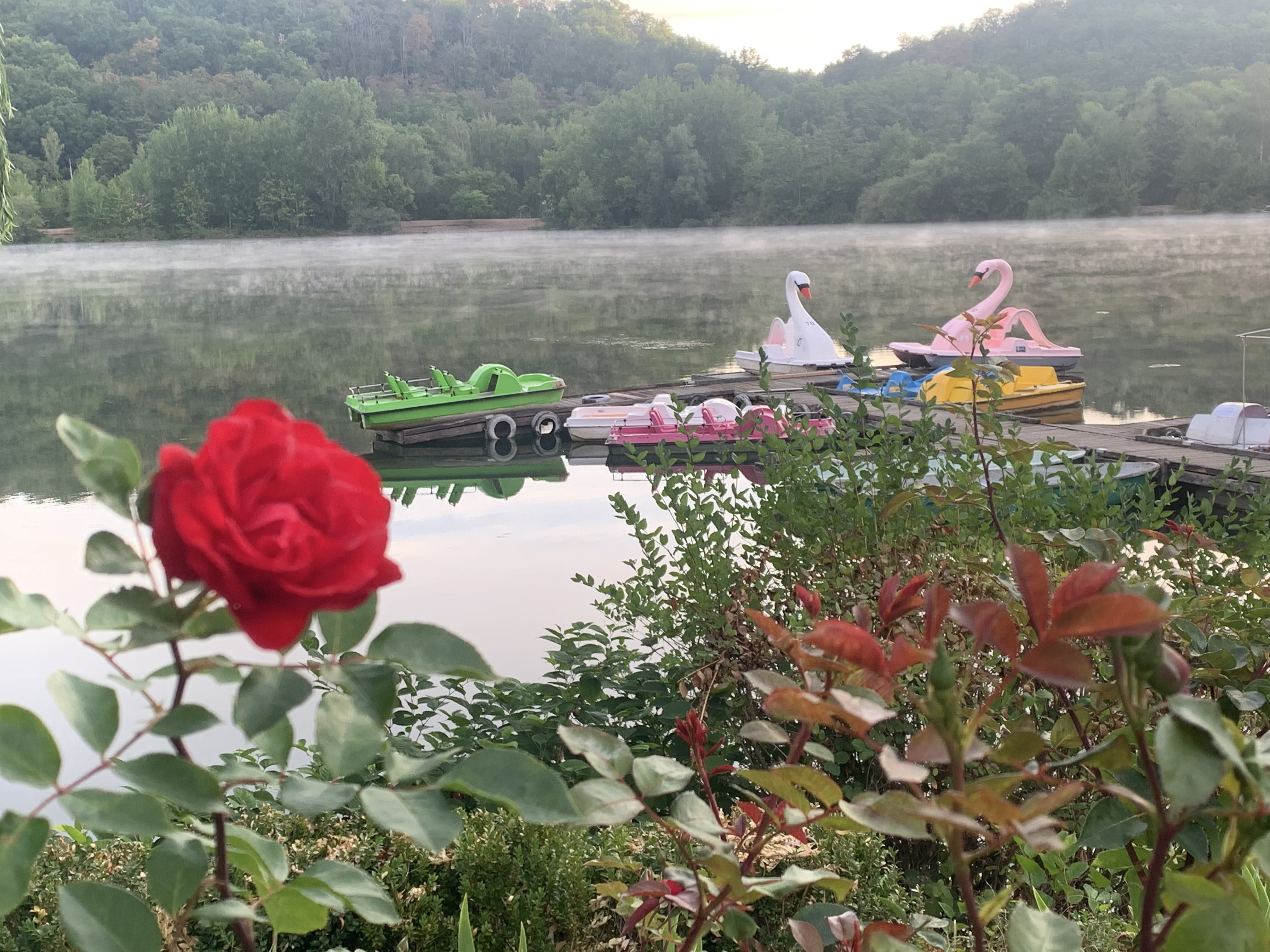 Reisemobilstellplatz - Goslar - Wassersport mit Vermietung von Tretbooten und SUP‘s. 
Idyllisches Restaurant ganz in der Nähe - Vienenburger See