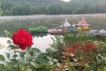 Wohnmobilstellplatz: Wassersport mit Vermietung von Tretbooten und SUP‘s. 
Idyllisches Restaurant ganz in der Nähe - Vienenburger See