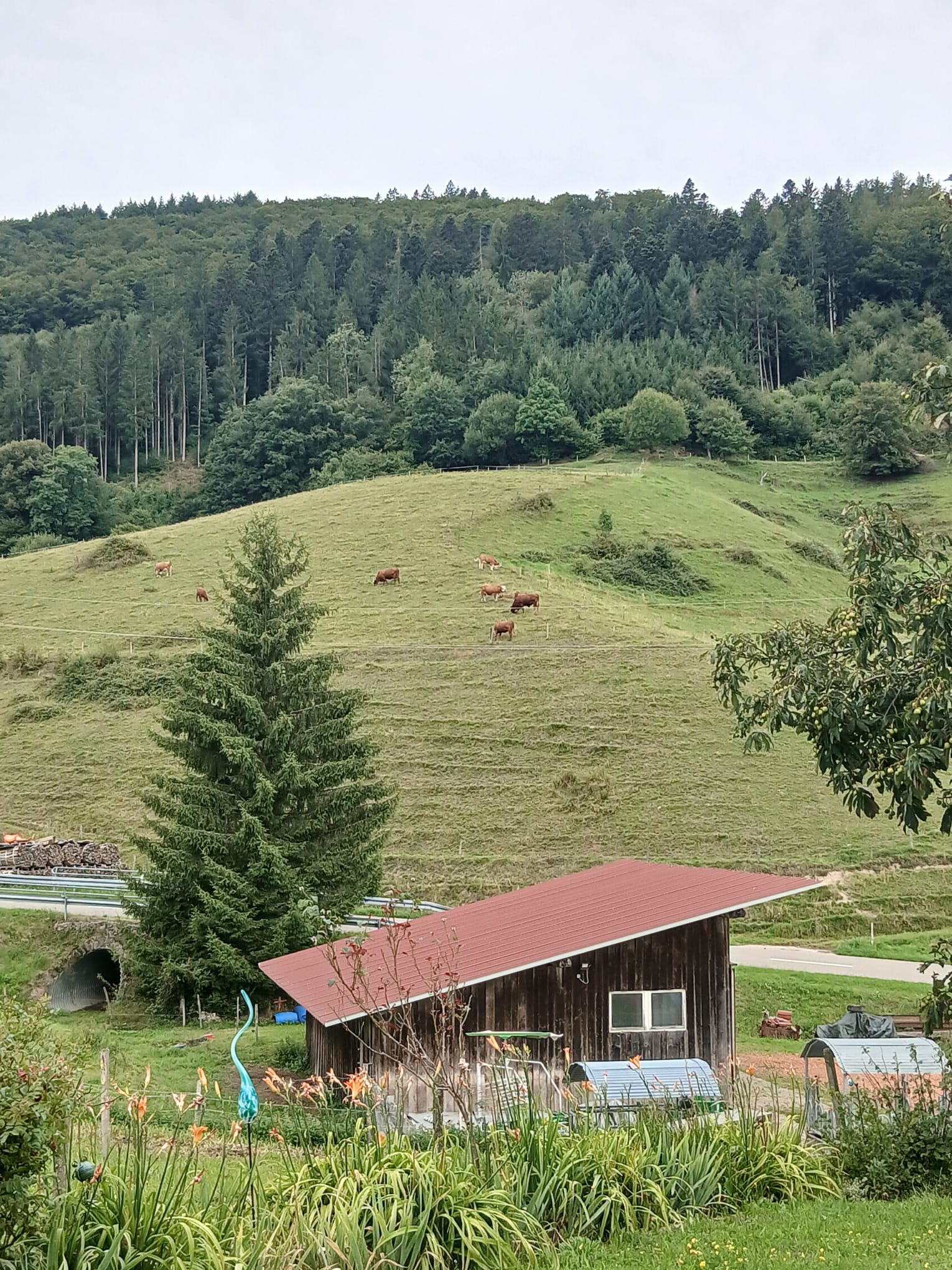 Area sosta per camper - Murg (Landkreis Waldshut) - Panoramablick beim Hotel Landgasthof zum Pflug