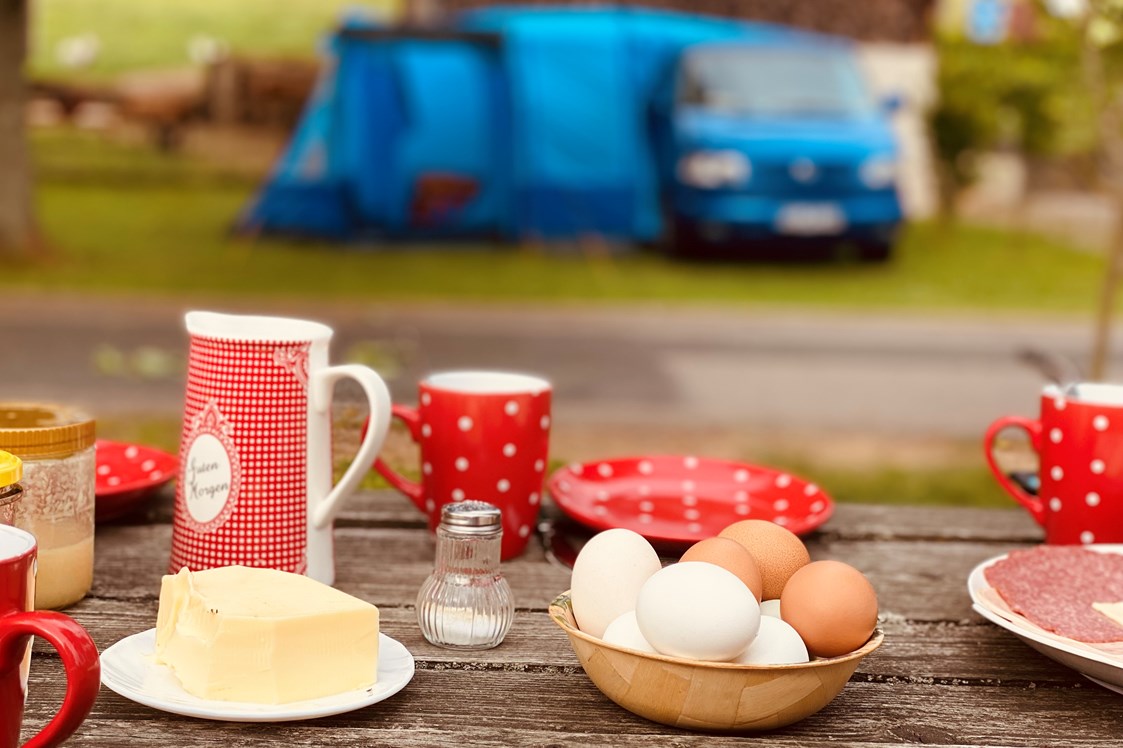 Wohnmobilstellplatz: …wo man Eier von glücklichen Hühnern zum Frühstück genießt   - Mini-Ranch 