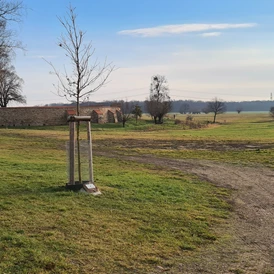 Wohnmobilstellplatz: An der Wasserburg - Walternienburg