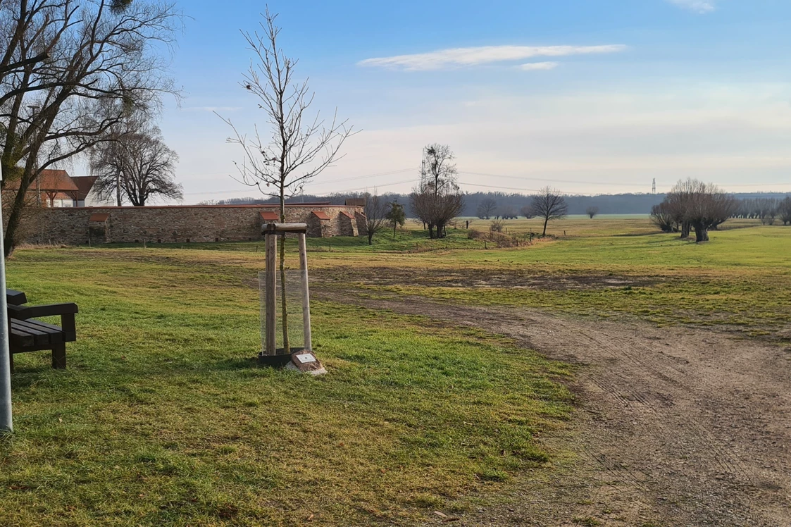 Wohnmobilstellplatz: An der Wasserburg - Walternienburg