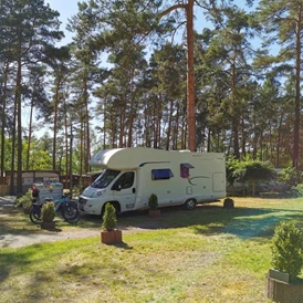 Wohnmobilstellplatz: weitere Plätze - Stellplatz Waldcamping Am Großsee