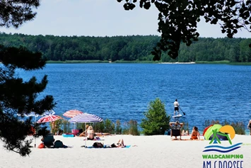 Wohnmobilstellplatz: Großsee Badestrand - Stellplatz Waldcamping Am Großsee