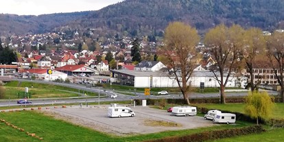 Reisemobilstellplatz - Haibach (Landkreis Aschaffenburg) -  @ DREI AM MAIN - Wohnmobilstellplatz an der Martinsbrücke
