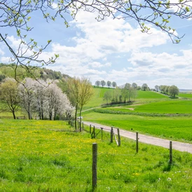 Wohnmobilstellplatz: Reisemobilpark Urbachtal