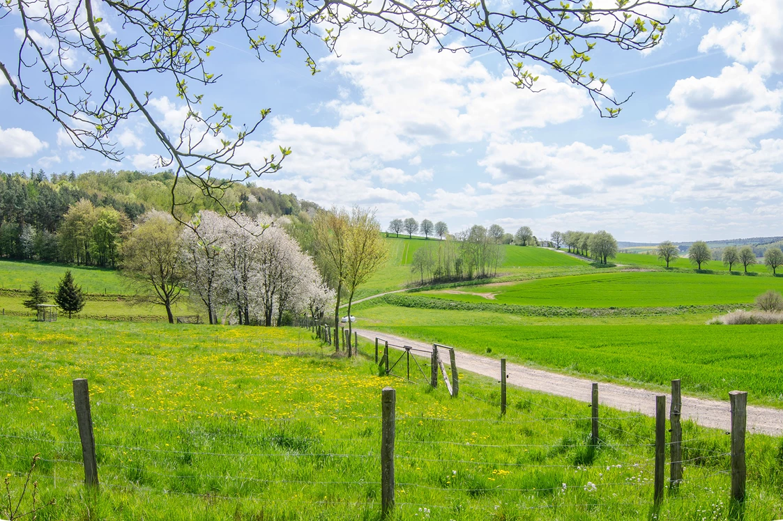 Wohnmobilstellplatz: Reisemobilpark Urbachtal