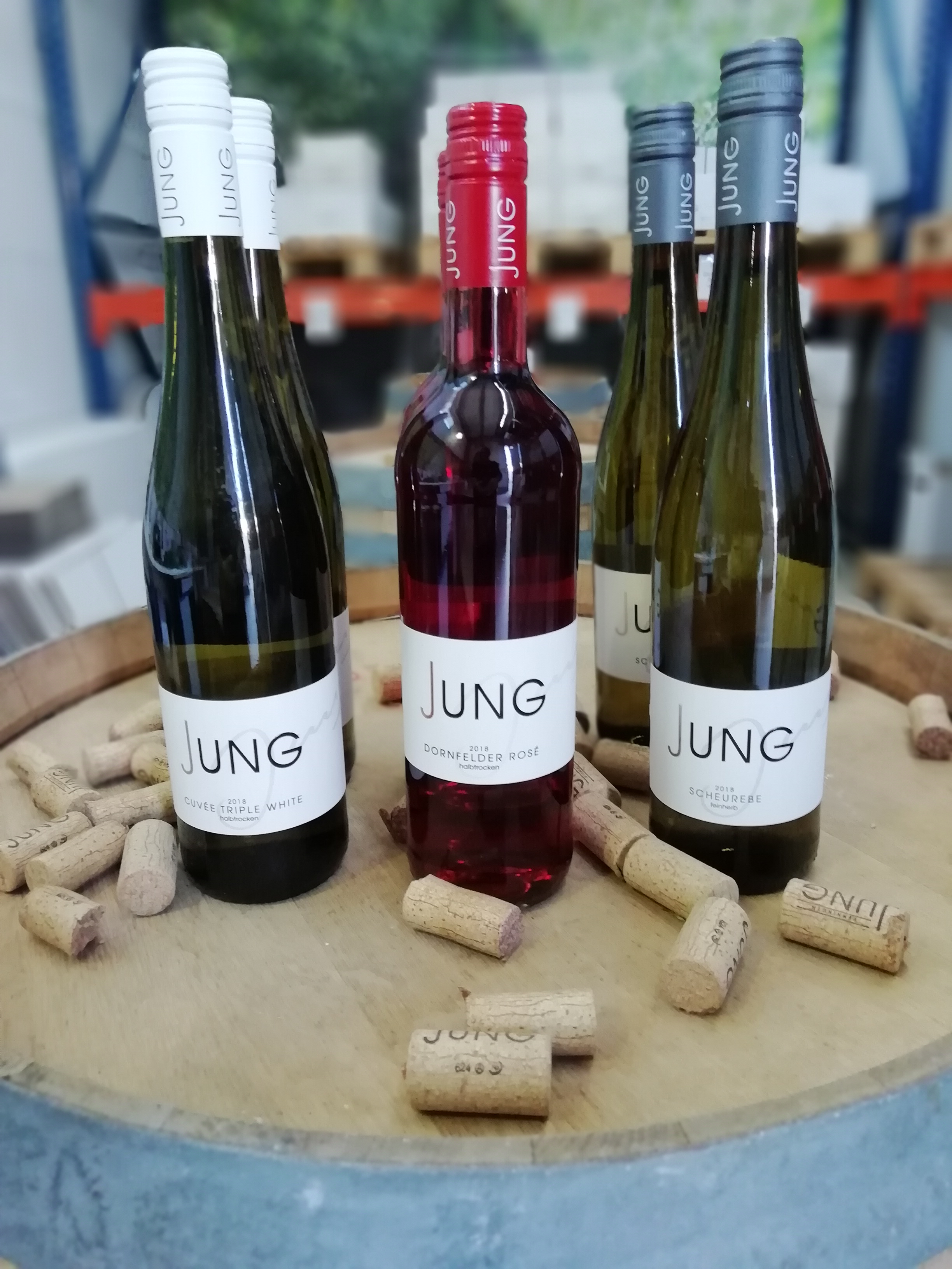 Reisemobilstellplatz - Lambsheim - Weinauswahl Wein- & Likörhaus Jung - Wein- & Likörhaus Jung - Stellplatz am Weingut