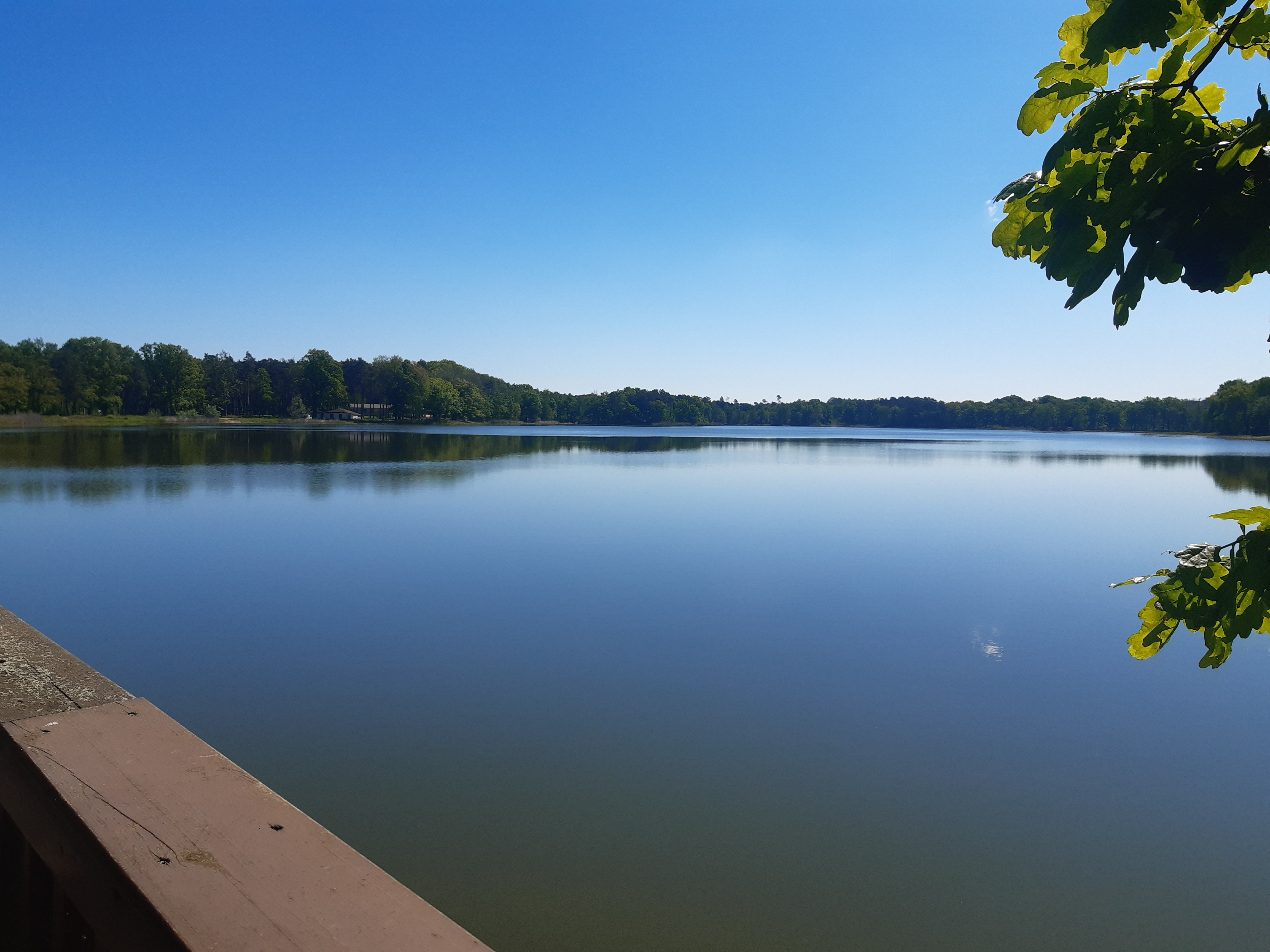 Wohnmobilstellplatz: der Körbaer See - Stellplätze in der Ferienanlage am Körbaer See